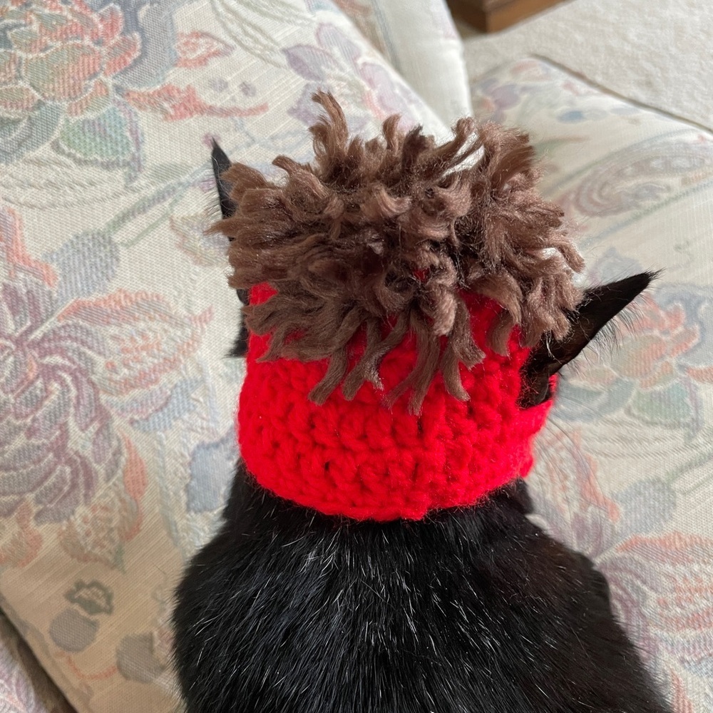 Newly Hand Crocheted KC Chiefs Mahomes Inspired Cat Beanie - Picture 3 of 3
